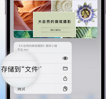 北海apple维修中心分享iPhone文件应用中存储和找到下载文件