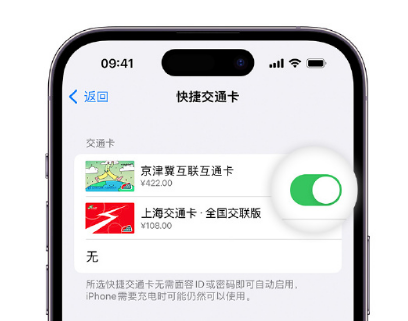 北海apple维修点分享iPhone上更换Apple Pay快捷交通卡手绘卡面 