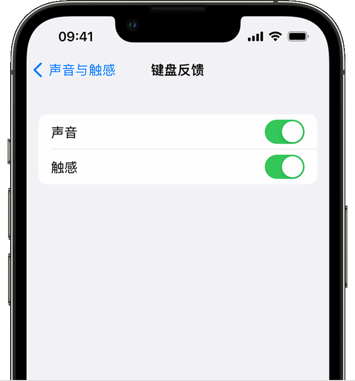 北海苹果14维修店分享如何在 iPhone 14 机型中使用触感键盘 