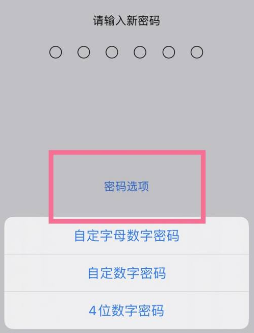 北海苹果14维修分享iPhone 14plus设置密码的方法 