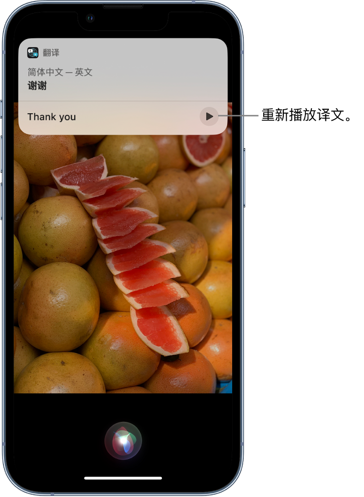 北海苹果14维修分享 iPhone 14 机型中使用 Siri：了解 Siri 能帮你做什么 