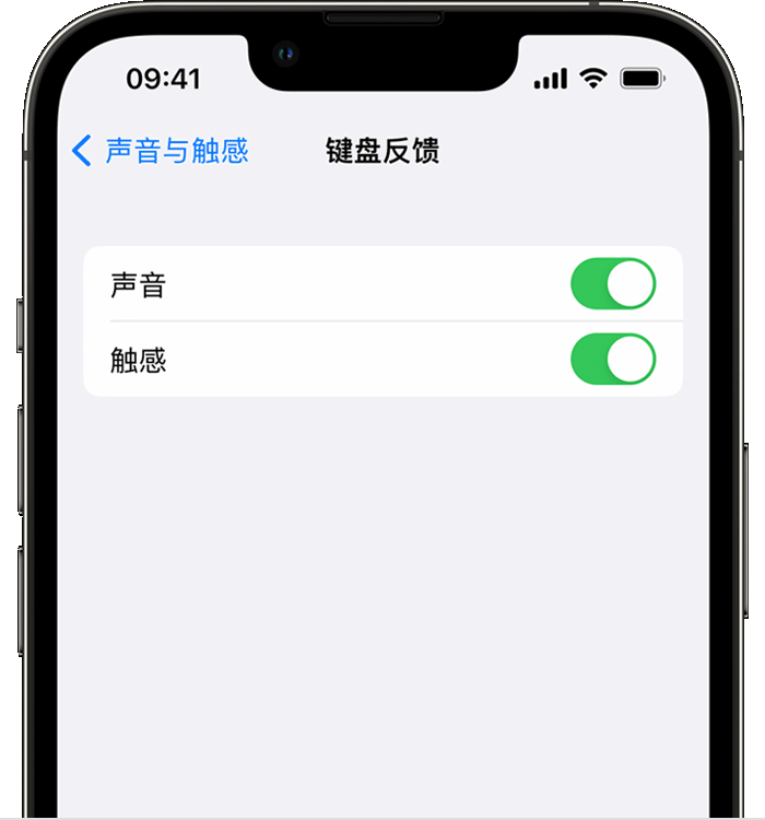 北海苹果14维修分享iPhone 14 系列机型如何开启键盘声音或触感反馈 