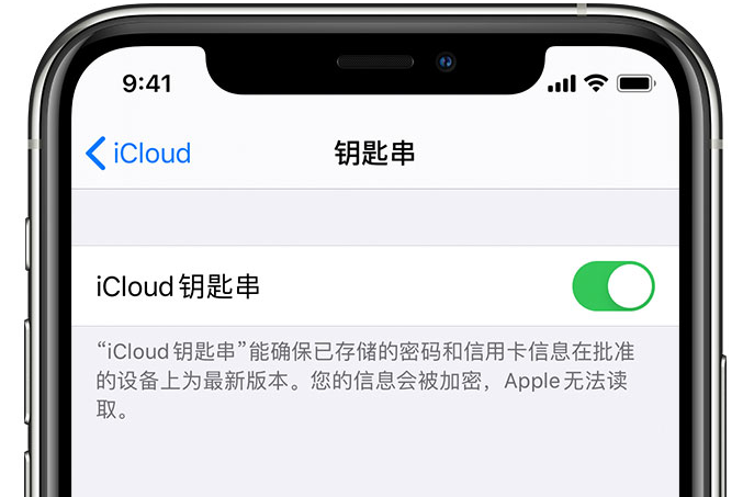 北海苹果手机维修分享在 iPhone 上开启 iCloud 钥匙串之后会储存哪些信息 