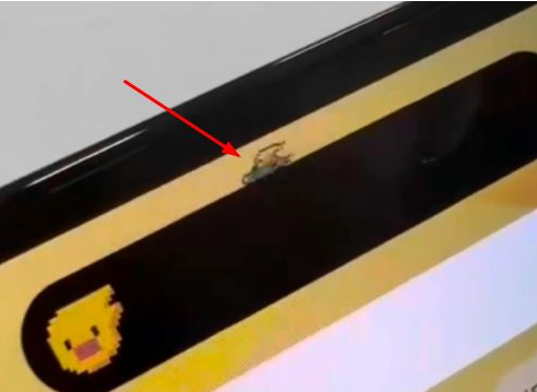 北海苹果14维修分享iPhone 14 Pro Max灵动岛怎么养宠物 