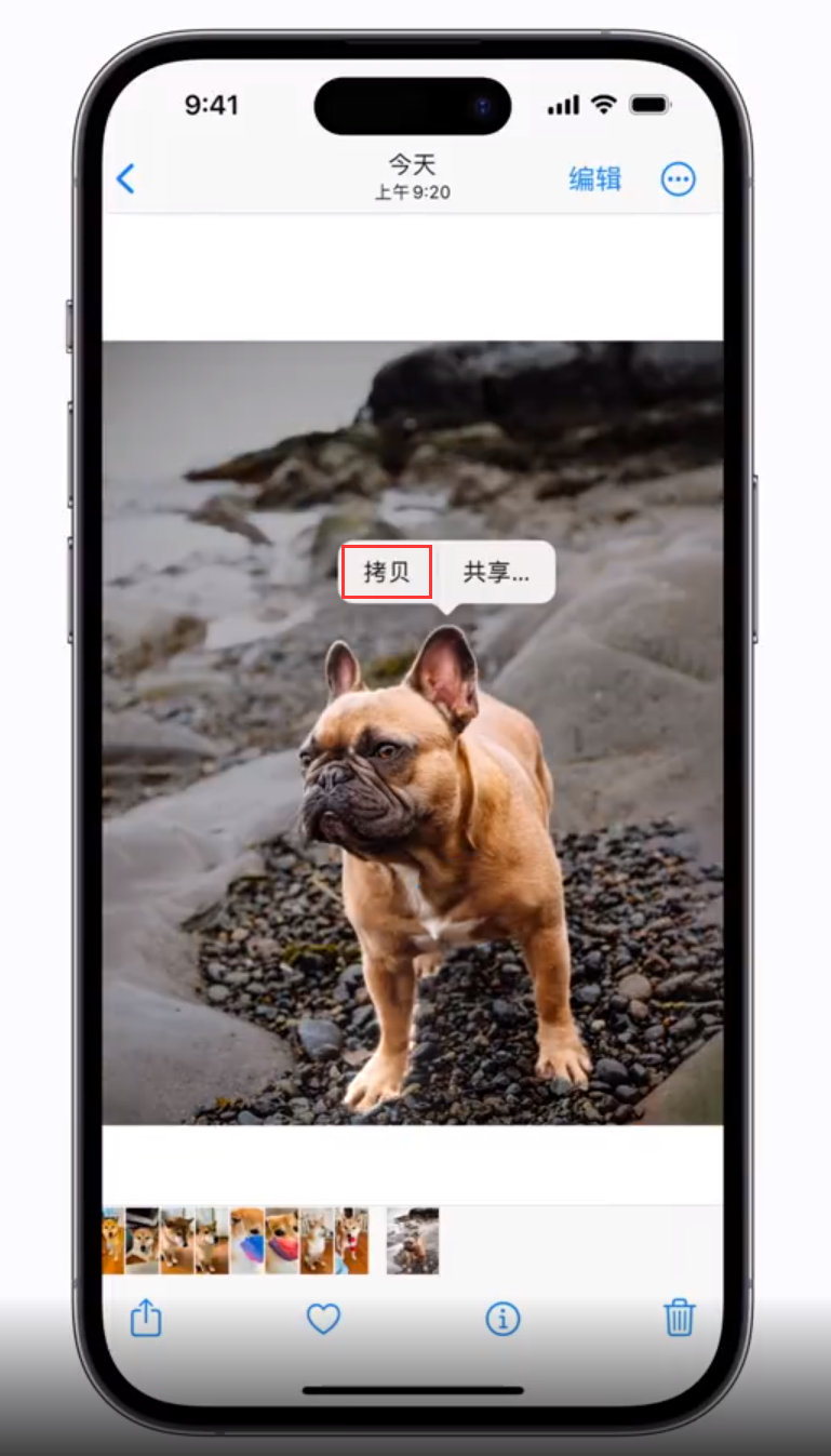 北海 苹果手机维修分享iOS 16 “照片”应用更新内容与改进汇总 