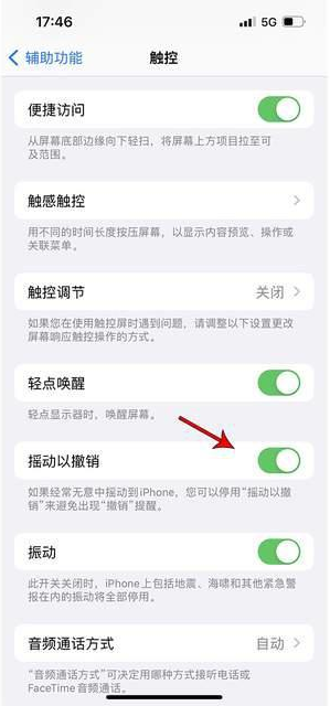 北海苹果手机维修分享iPhone手机如何设置摇一摇删除文字 